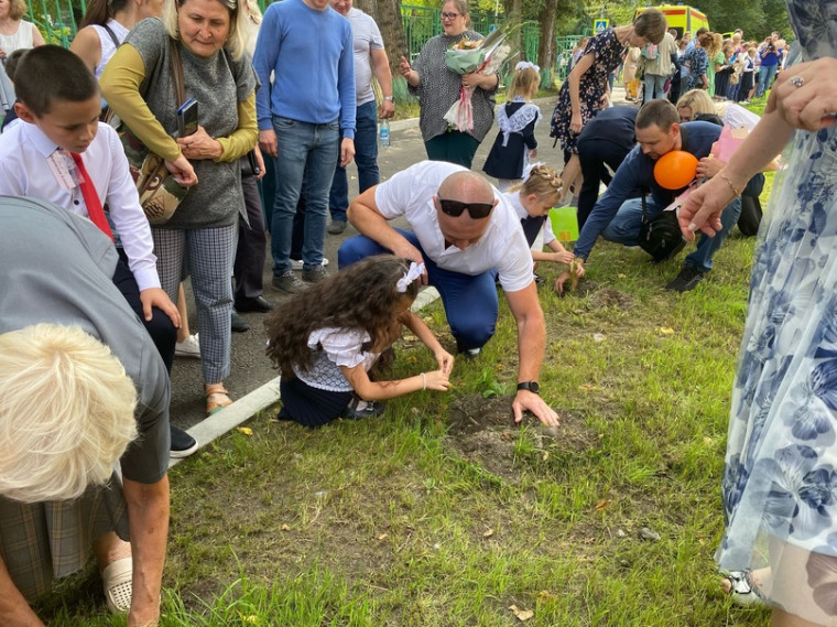Посади дерево.